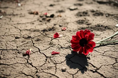 Illustration succumbs - Image 1