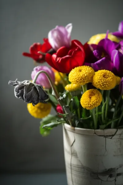 Illustration mediocre - Image 1