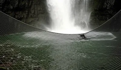 Illustration let - Image 1