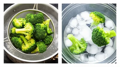 Illustration blanching - Image 1