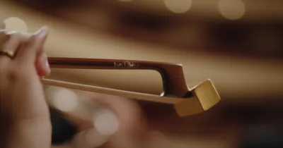 Illustration rosin - Image 1