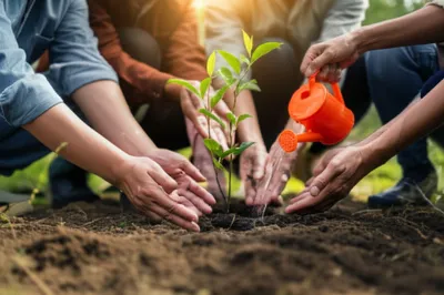 Illustration taking - Image 1