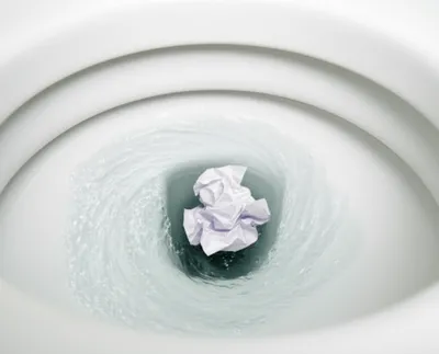 Illustration flushed - Image 1