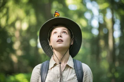 Illustration alighted - Image 1