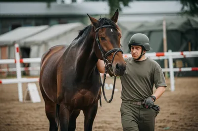 Illustration roughed - Image 1