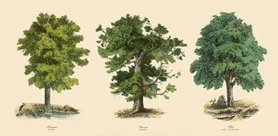 Illustration segregate - Image 3