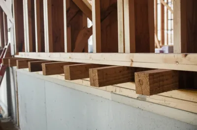 Illustration tassels - Image 1