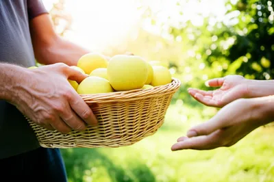 Illustration thanking - Image 1