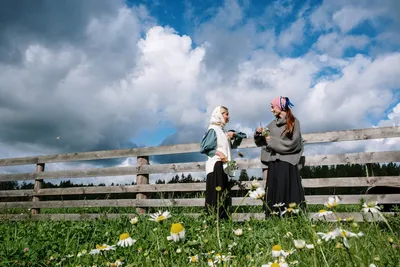 Illustration countrified - Image 2