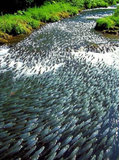 Illustration runners - Image 1