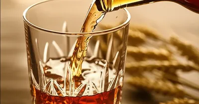 Illustration malt - Image 1