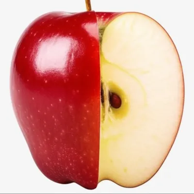 Illustration waxed - Image 1