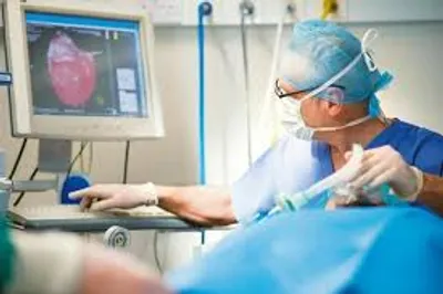 Illustration remedy - Image 3