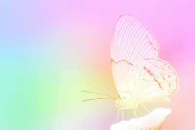 Illustration subtleties - Image 1