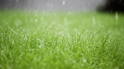 Illustration sprinkling - Image 1