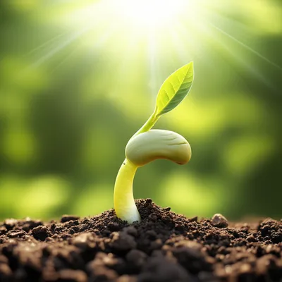 Illustration upcoming