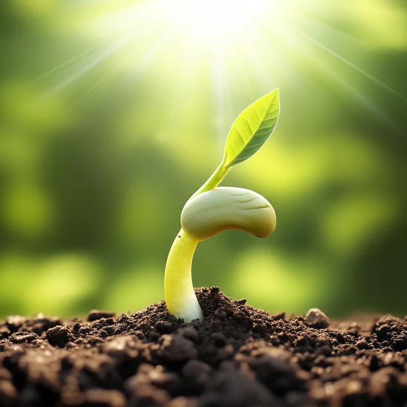 Illustration visuelle du mot « upcoming » - L'arrivée