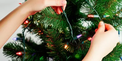 Illustration illuminated - Image 1