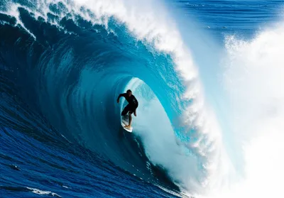 Illustration guns - Image 1