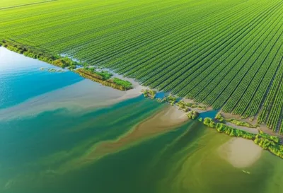 Illustration runoff - Image 1