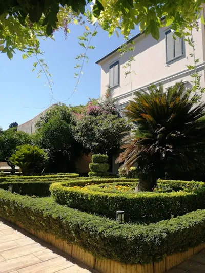 Illustration hedging - Image 2