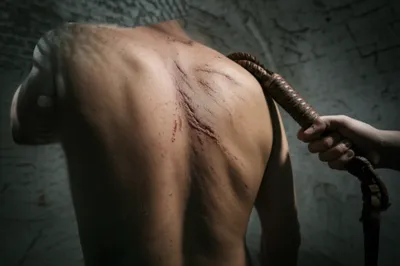 Illustration cat - Image 1