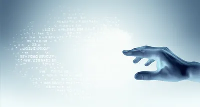 Illustration deletion - Image 1