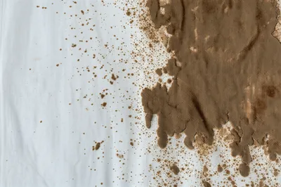 Illustration sully - Image 1