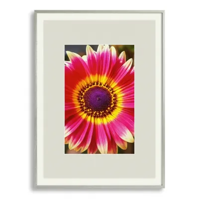 Illustration mat - Image 1