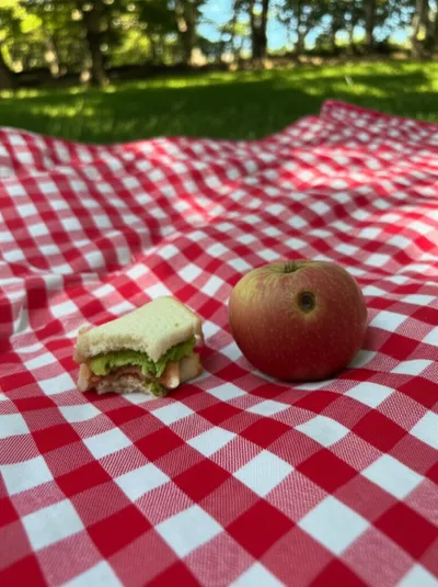 Illustration snag - Image 1