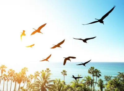 Illustration descended - Image 1