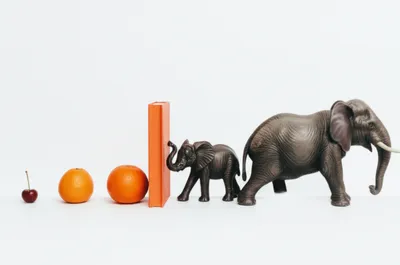 Illustration sized - Image 1