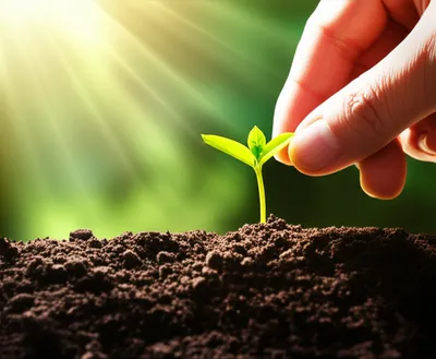 Illustration affirming - Image 2