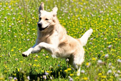 Illustration unleashed - Image 1