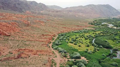 Illustration moisturized - Image 2