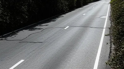 Illustration crooking - Image 1