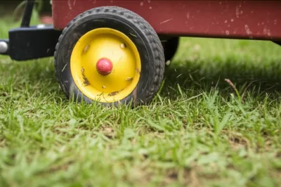 Illustration trundle - Image 1