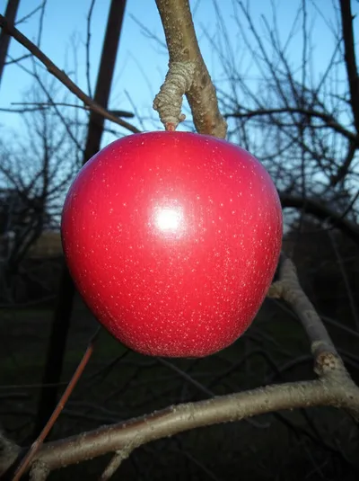 Illustration done - Image 1