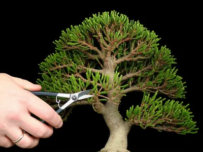 Illustration switches - Image 1