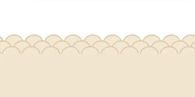 Illustration scallop - Image 1