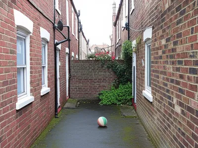 Illustration close - Image 1