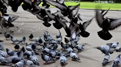 Illustration blitz - Image 1