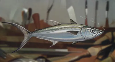 Illustration shoemaker - Image 1