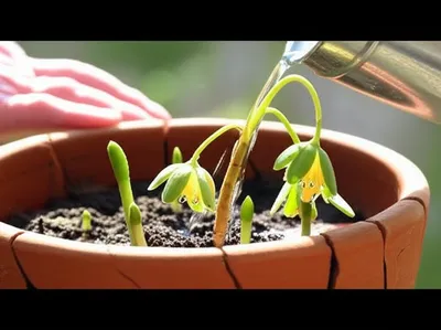 Illustration rehabilitating - Image 1