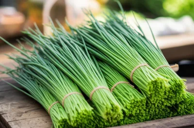 Illustration chives - Image 1