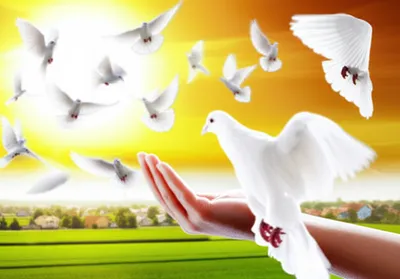 Illustration dedication - Image 1