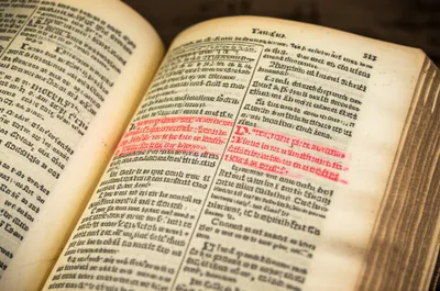 Illustration rubric - Image 1