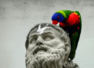 Illustration mute - Image 1