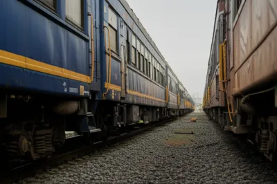 Illustration cut - Image 1