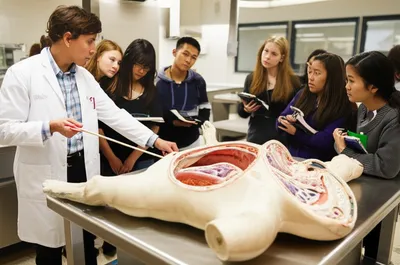 Illustration demonstrators - Image 1